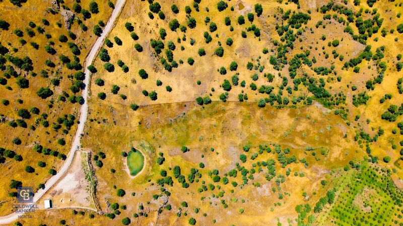 Dikili Kızılçukur'da 17.446 M2 Satılık Tarla — fotoğraf 28