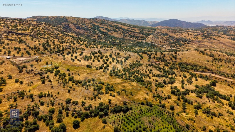 Dikili Kızılçukur'da 17.446 M2 Satılık Tarla — fotoğraf 31