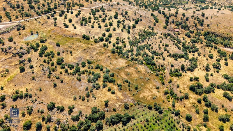 Dikili Kızılçukur'da 17.446 M2 Satılık Tarla — fotoğraf 32