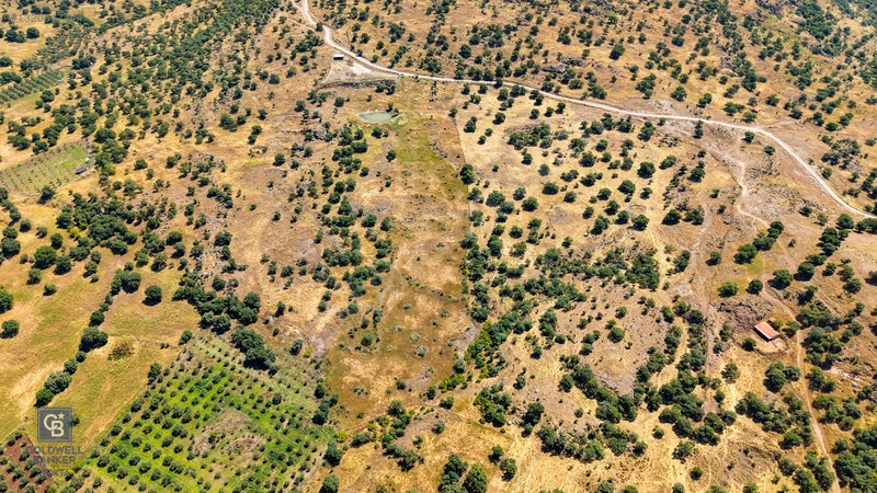 Dikili Kızılçukur'da 17.446 M2 Satılık Tarla — fotoğraf 33
