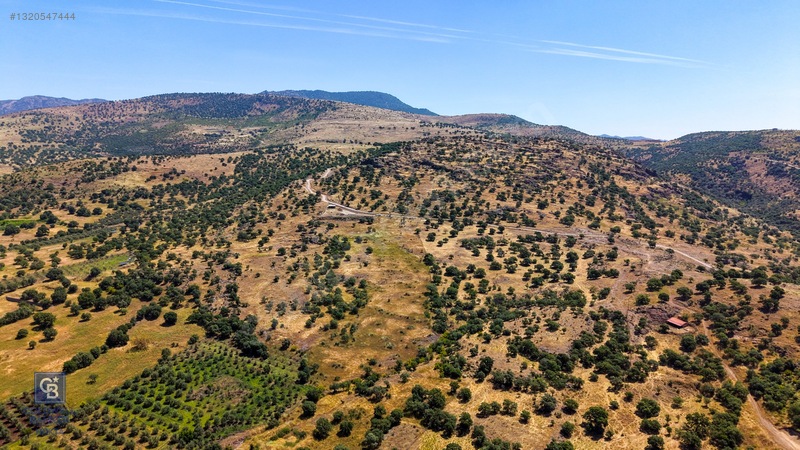 Dikili Kızılçukur'da 17.446 M2 Satılık Tarla — fotoğraf 34