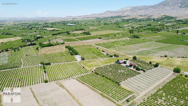 Elazığ Merkez Kıraç Köyünde Doğa Harikası Satılık 13.277m2 Arazi — fotoğraf 11