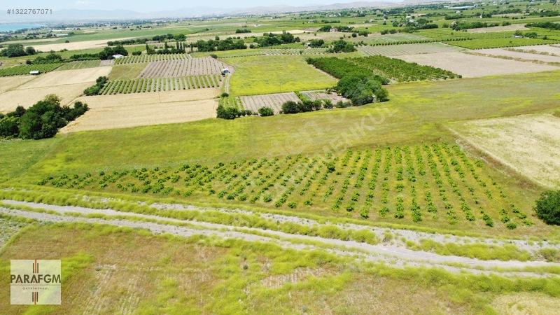 Elazığ Merkez Kıraç Köyünde Doğa Harikası Satılık 13.277m2 Arazi — fotoğraf 17