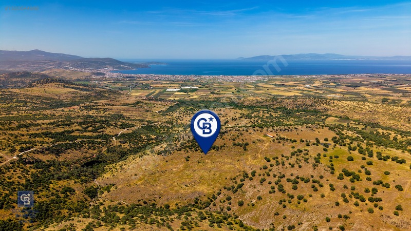 Dikili Kızılçukur'Da 150 Dönüm Satılık Tarla