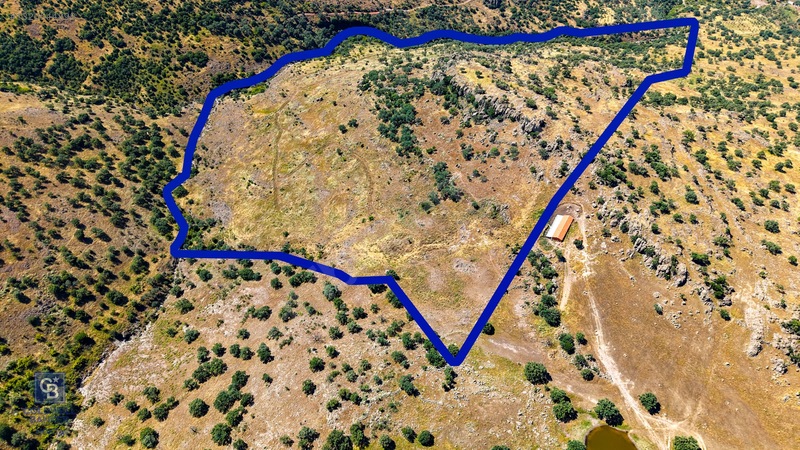 Dikili Kızılçukur'da 150 Dönüm Satılık Tarla — fotoğraf 2