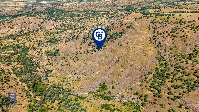 Dikili Kızılçukur'da 150 Dönüm Satılık Tarla — fotoğraf 9