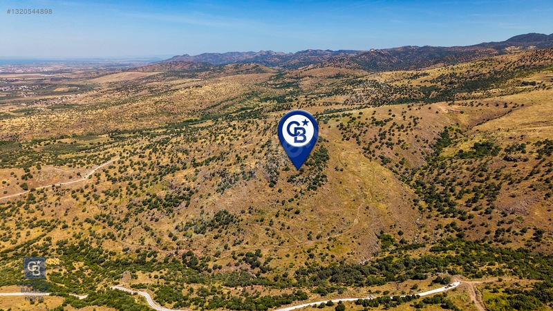 Dikili Kızılçukur'da 150 Dönüm Satılık Tarla — fotoğraf 12