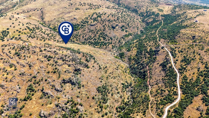 Dikili Kızılçukur'da 150 Dönüm Satılık Tarla — fotoğraf 16