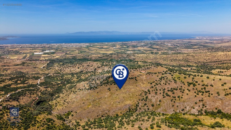 Dikili Kızılçukur'da 150 Dönüm Satılık Tarla — fotoğraf 18