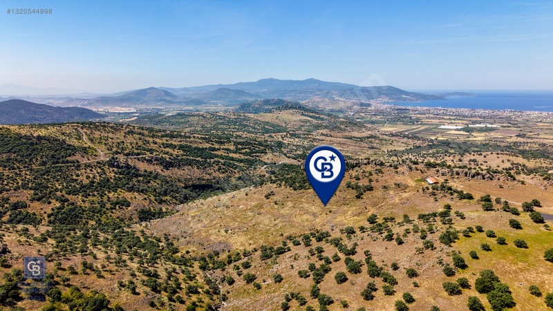 Dikili Kızılçukur'da 150 Dönüm Satılık Tarla — fotoğraf 19