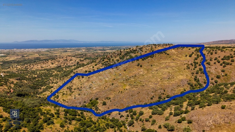 Dikili Kızılçukur'da 150 Dönüm Satılık Tarla — fotoğraf 22