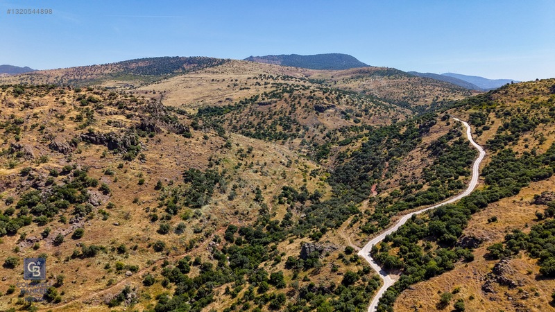 Dikili Kızılçukur'da 150 Dönüm Satılık Tarla — fotoğraf 24
