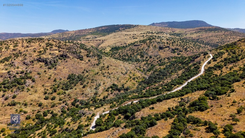 Dikili Kızılçukur'da 150 Dönüm Satılık Tarla — fotoğraf 25