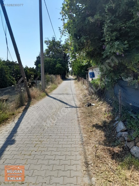 Köyceğiz Yangı Mah. Satılık 3206 M2 Tarla — fotoğraf 4