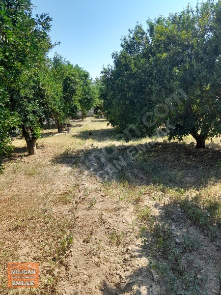 Köyceğiz Yangı Mah. Satılık 3206 M2 Tarla — fotoğraf 5