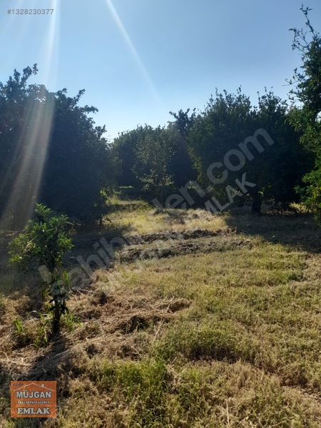 Köyceğiz Yangı Mah. Satılık 3206 M2 Tarla — fotoğraf 10
