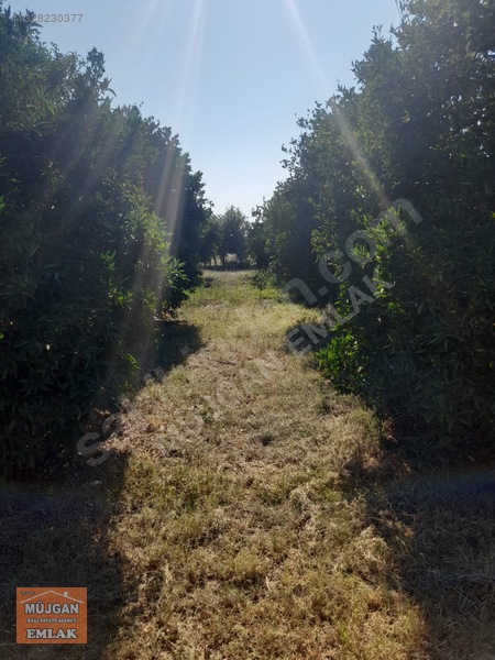 Köyceğiz Yangı Mah. Satılık 3206 M2 Tarla — fotoğraf 11