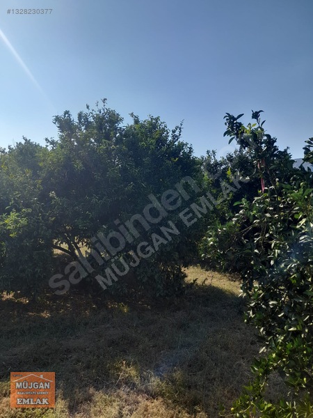 Köyceğiz Yangı Mah. Satılık 3206 M2 Tarla — fotoğraf 12