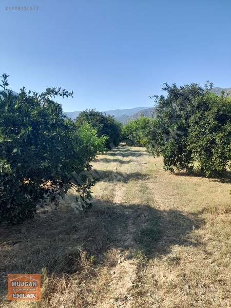 Köyceğiz Yangı Mah. Satılık 3206 M2 Tarla — fotoğraf 16