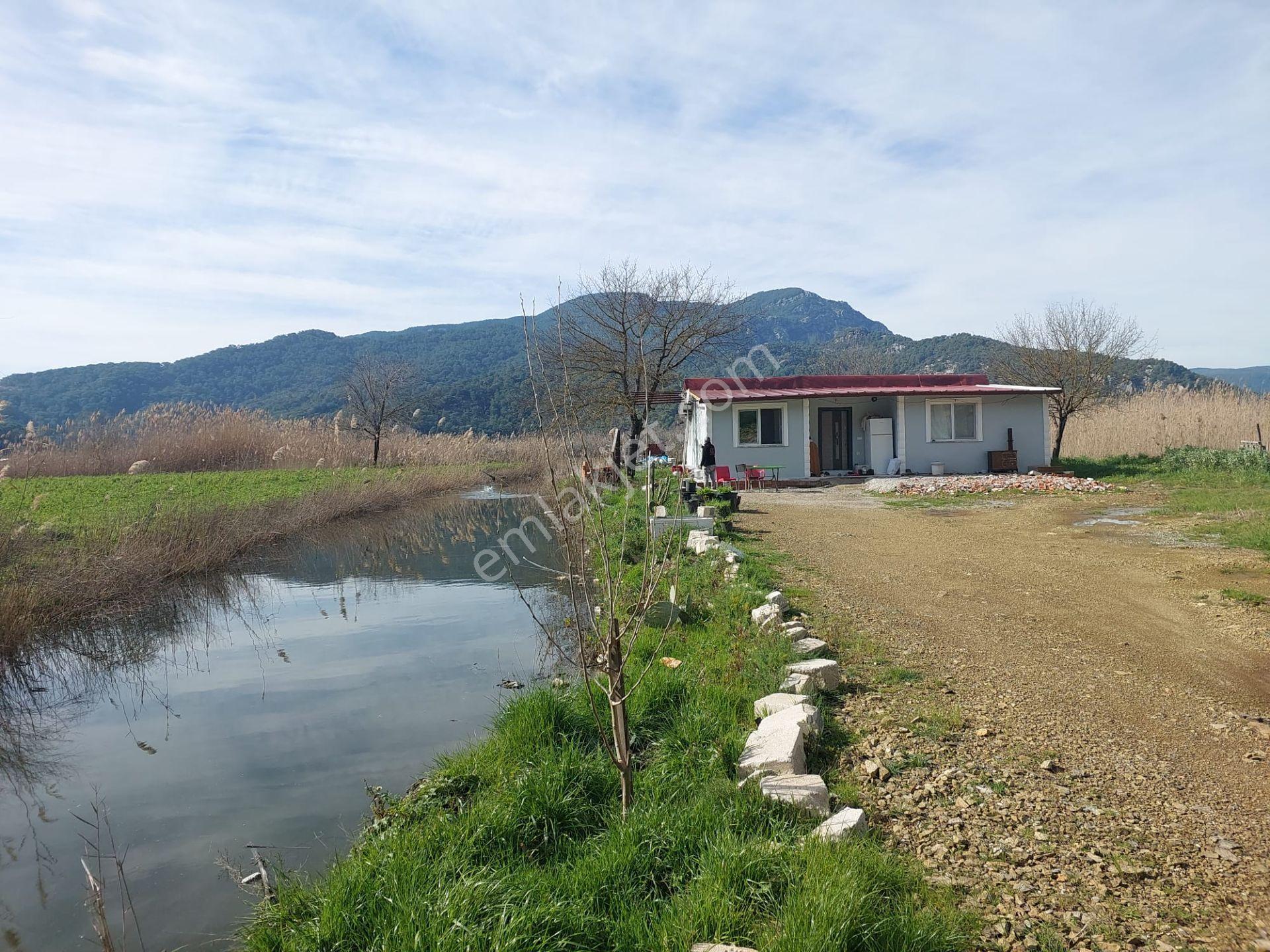 Muğla Dalyanda 1.000 M2 Tapulu Arazi De 150 M2 2+1 Köy Evi Satılık, Ortacadan Daire İle Takas — fotoğraf 3