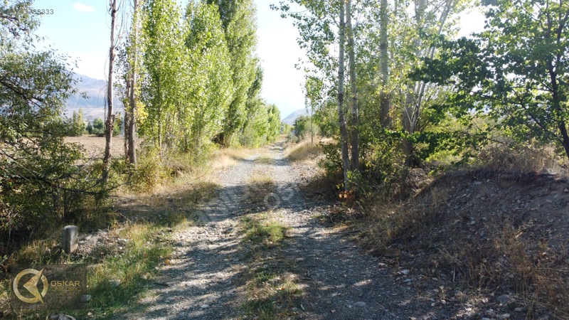Oskar Emlak'tan Oğlaktepe Köyü'ünde 2308 M² Satılık Sulu Tarla — fotoğraf 9