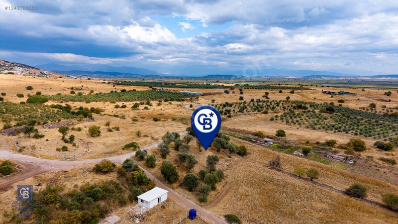 Foça Yenibağarası'nda Satılık Yatırıma Uygun Zeytinli Tarla — fotoğraf 6
