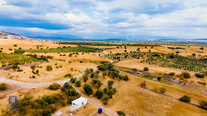 Foça Yenibağarası'nda Satılık Yatırıma Uygun Zeytinli Tarla — fotoğraf 7
