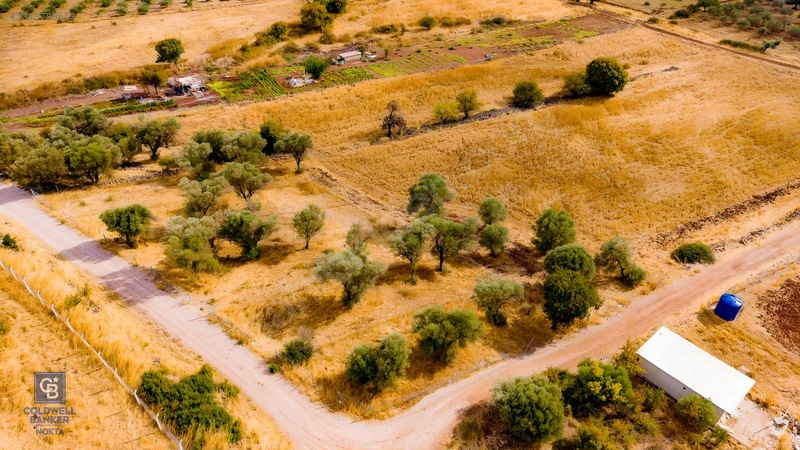 Foça Yenibağarası'nda Satılık Yatırıma Uygun Zeytinli Tarla — fotoğraf 13