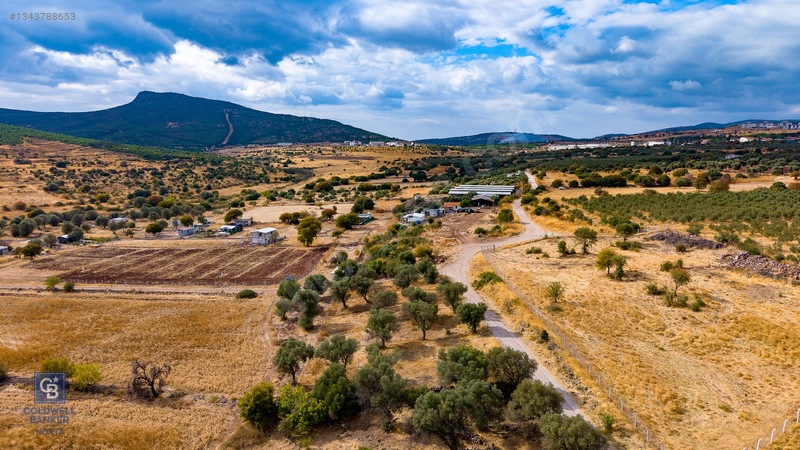 Foça Yenibağarası'nda Satılık Yatırıma Uygun Zeytinli Tarla — fotoğraf 20