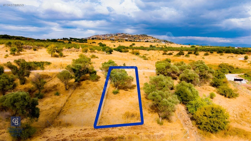 Foça Yenibağarası'nda Satılık Yatırıma Uygun Zeytinli Tarla — fotoğraf 30