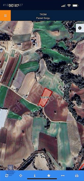 Karaisalı Salbaş Kuzgun Da Satılık Arazi