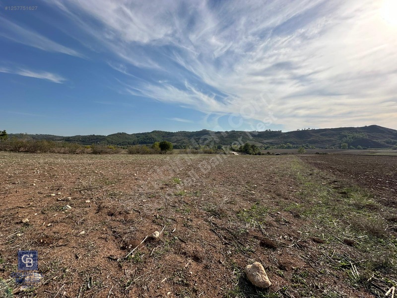 Karaisalı Salbaş Kuzgun Da Satılık Arazi — fotoğraf 6
