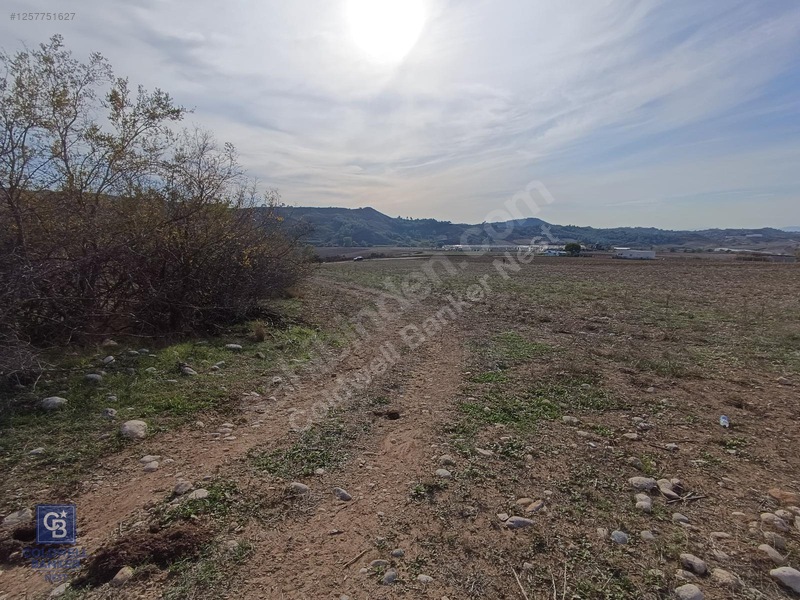 Karaisalı Salbaş Kuzgun Da Satılık Arazi — fotoğraf 11
