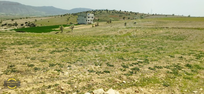 Antalya Korkuteli Küçükköy'de 1905 M2 Satılık Tarla — fotoğraf 2