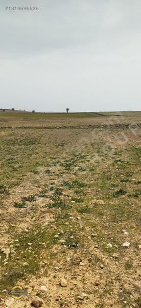Antalya Korkuteli Küçükköy'de 1905 M2 Satılık Tarla — fotoğraf 8