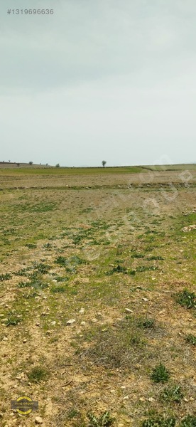 Antalya Korkuteli Küçükköy'de 1905 M2 Satılık Tarla — fotoğraf 10