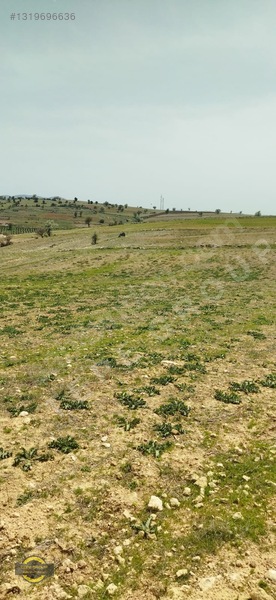 Antalya Korkuteli Küçükköy'de 1905 M2 Satılık Tarla — fotoğraf 11