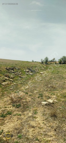 Antalya Korkuteli Küçükköy'de 1905 M2 Satılık Tarla — fotoğraf 12