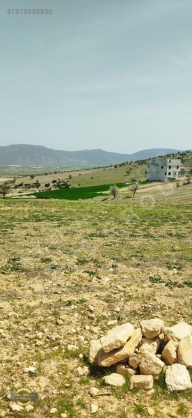 Antalya Korkuteli Küçükköy'de 1905 M2 Satılık Tarla — fotoğraf 14