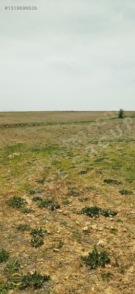 Antalya Korkuteli Küçükköy'de 1905 M2 Satılık Tarla — fotoğraf 16