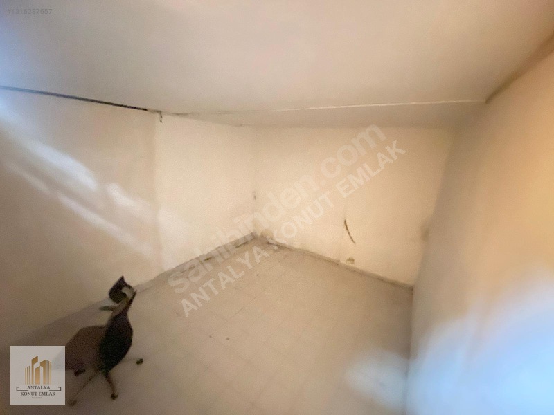 Kırcami Cadde Üzeri Depolu Geniş 1+1 Kiralık Ofis — fotoğraf 15