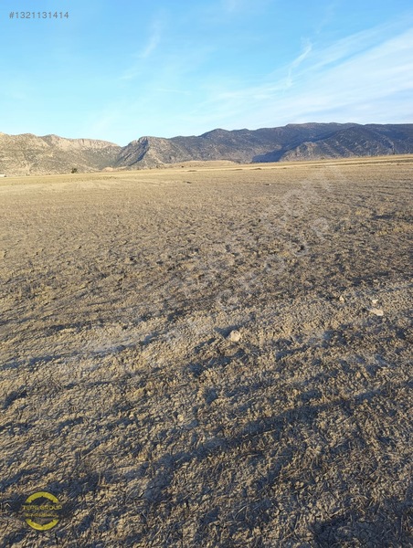 Antalya Korkuteli Yakada 452 M2 Yatırımlık Satılık Tarla