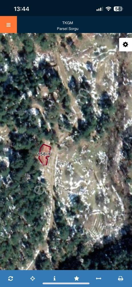 Balıkesir Burhaniye Avunduk Bölgesinde Satılık Yayla Bahçesi — fotoğraf 3