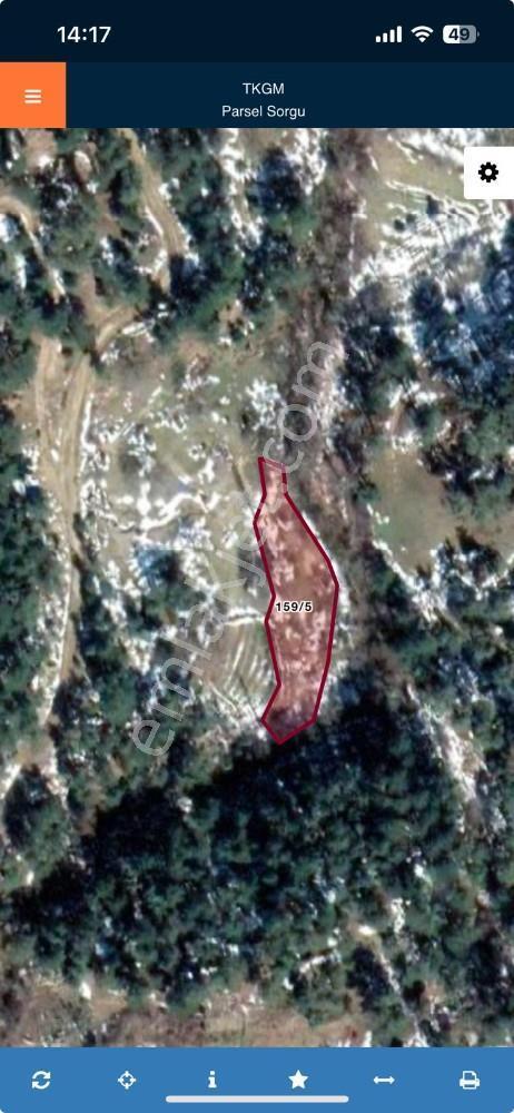 Balıkesir Burhaniye Avunduk Bölgesinde Satılık Yayla Bahçesi — fotoğraf 9
