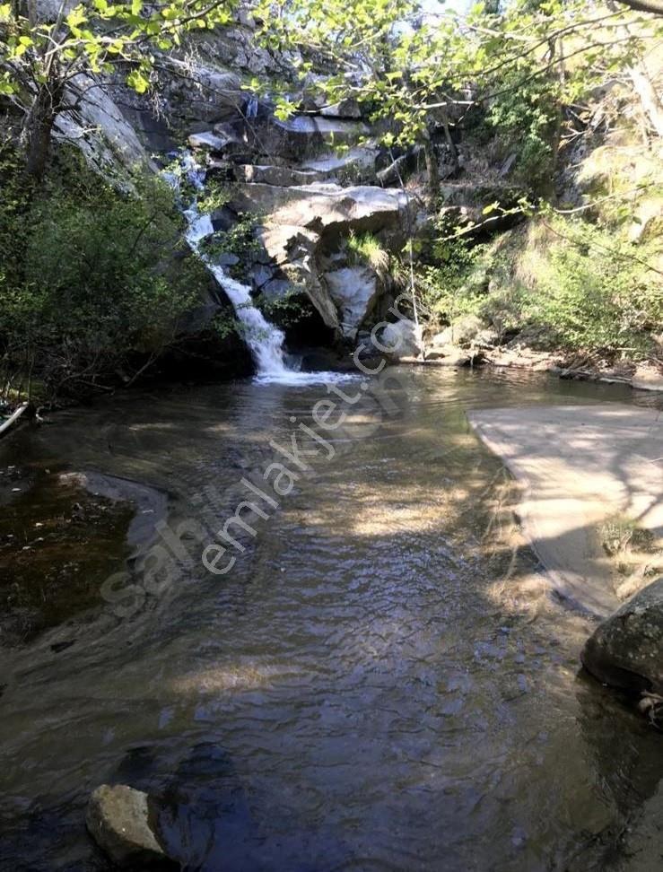 Balıkesir Burhaniye Avunduk Bölgesinde Satılık Yayla Bahçesi — fotoğraf 10