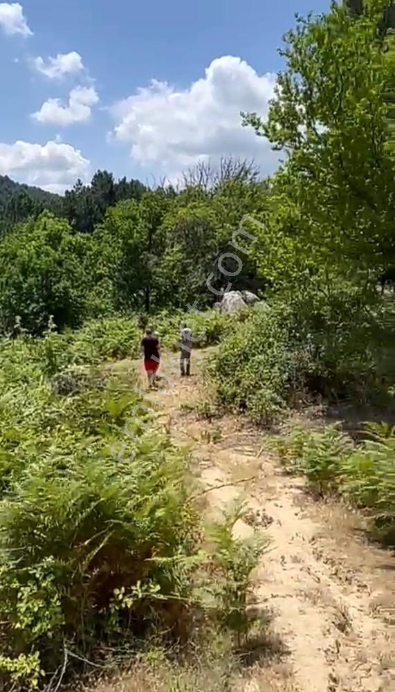 Balıkesir Burhaniye Avunduk Bölgesinde Satılık Yayla Bahçesi — fotoğraf 15