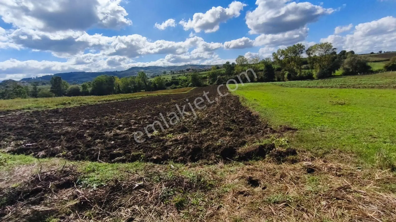 Truva/nazım Demirci'den Tepeköy Yola Cephe Satılık Fırsat Tarla — fotoğraf 3
