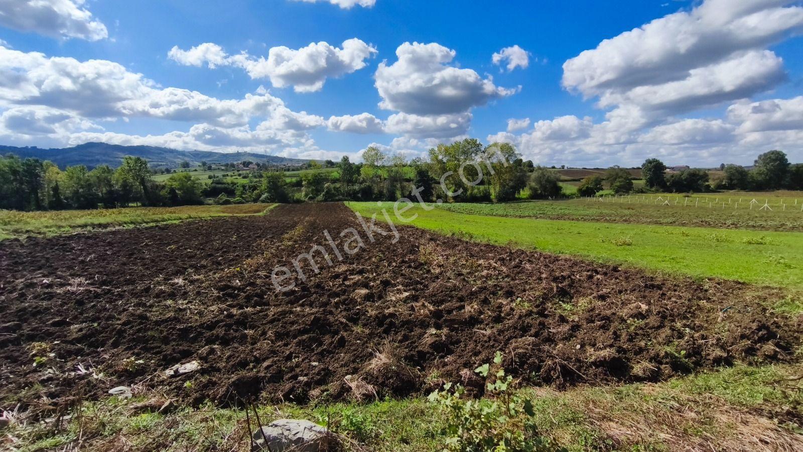 Truva/nazım Demirci'den Tepeköy Yola Cephe Satılık Fırsat Tarla — fotoğraf 13