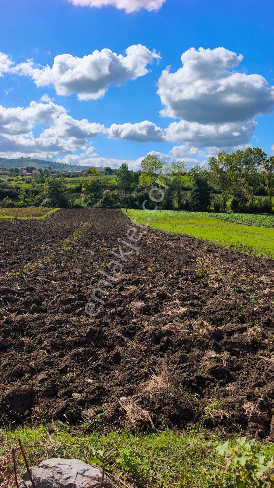 Truva/nazım Demirci'den Tepeköy Yola Cephe Satılık Fırsat Tarla — fotoğraf 15