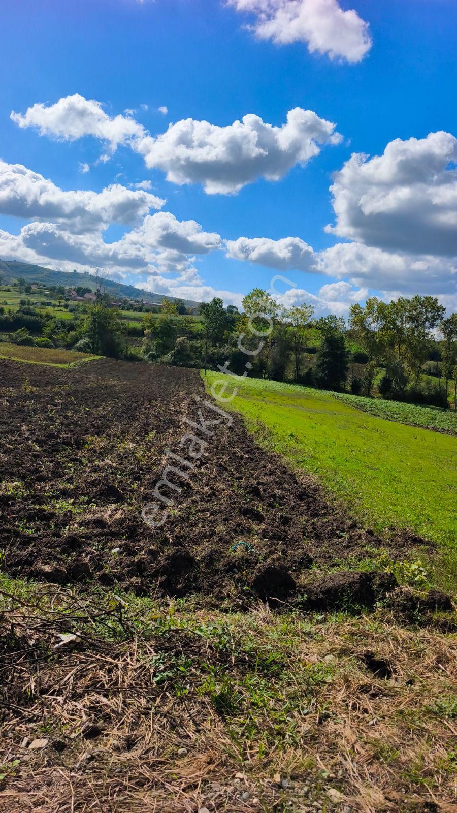 Truva/nazım Demirci'den Tepeköy Yola Cephe Satılık Fırsat Tarla — fotoğraf 16
